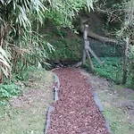アパート Bachgefluester 2,5 Mit Terrasse Und Grillplatz