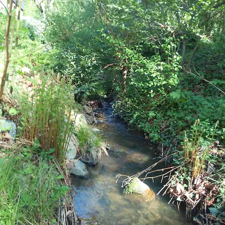 Bachgefluester - 3 Zimmer Am Heiligenberg Im Natura 2000 Gebiet Apartmán