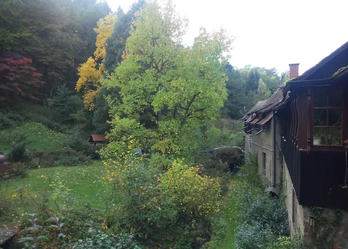 Bachgefluester - 3 Am Heiligenberg Im Natura 2000 Gebiet